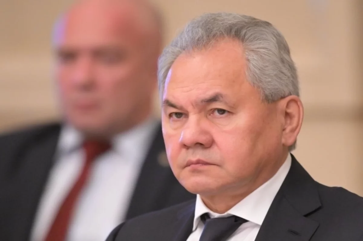Read more about the article Шойгу: Россия готова помочь стабилизировать обстановку в Афганистане