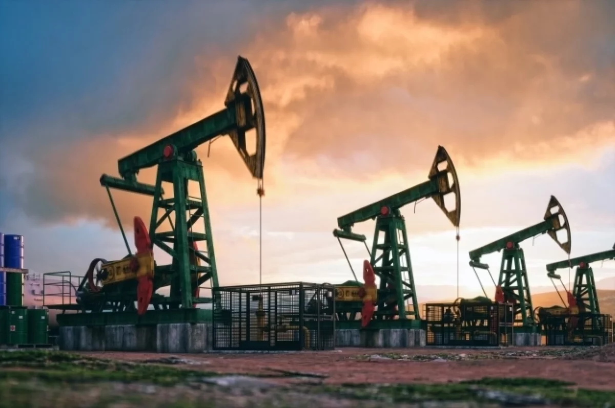Read more about the article «Белоруснефть» впервые за 30 лет добыла 2 млн тонн нефти