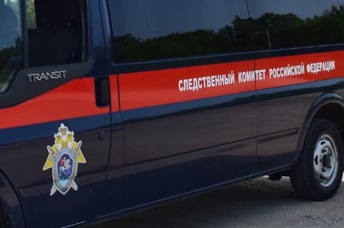 Read more about the article В ХМАО задержали подростка, который пришел в школу с топором и пистолетом