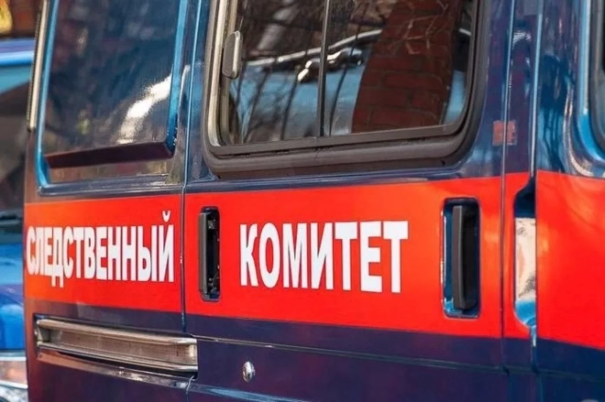 Read more about the article В Уфе следком возбудил дело после давки в ТЦ, где пострадали два человека