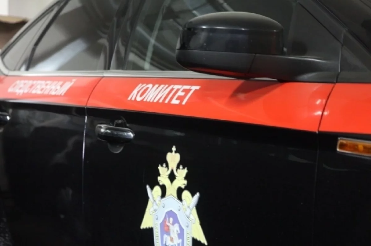 Read more about the article Тело пропавшего в Петербурге ребенка ищут в Ломоносовском районе Ленобласти
