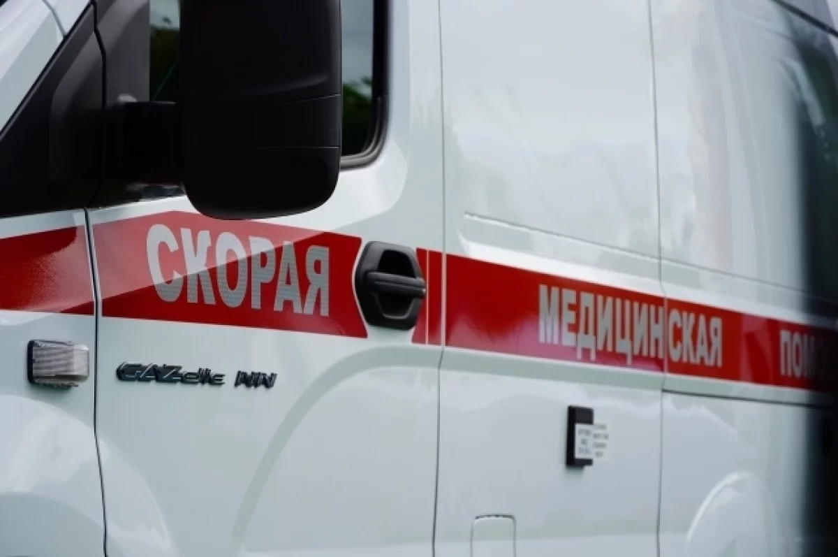 Read more about the article Директор заповедника погиб при ударе ВСУ по брянскому поселку