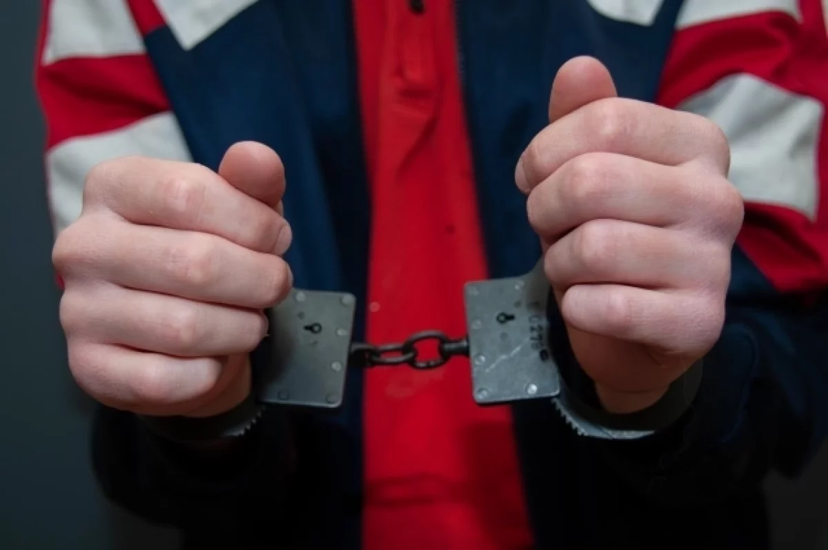 Read more about the article Жителя Новгородской области приговорили к 12 годам за травлю школьницы