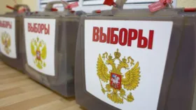 Явка в Москве на выборах в Госдуму достигла 35,26% к 15:40